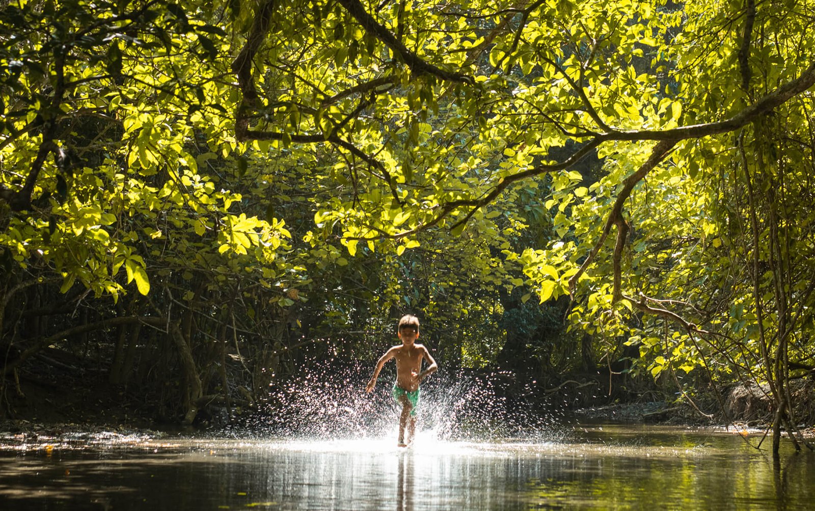 LAND ADVENTURES
